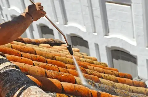 Nettoyage de toitures - Villard-Bonnot